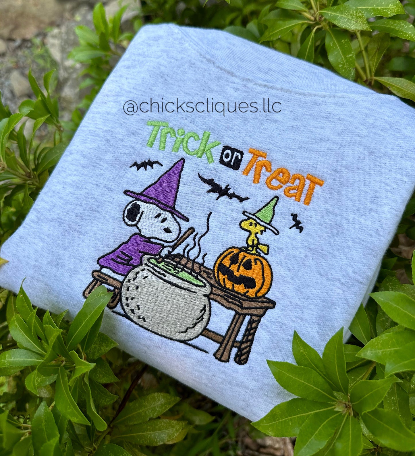 Snoopy and Woodstock Trick or Treat Embroidery Crewneck Sweatshirt